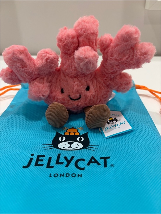 Jellycat Other - Jellycat Coral 🪸 w/ dust bag!